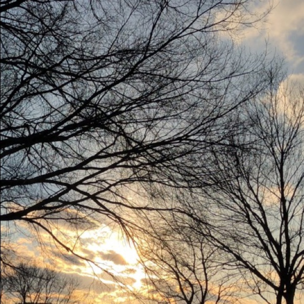 Meet your Posher, Ivy